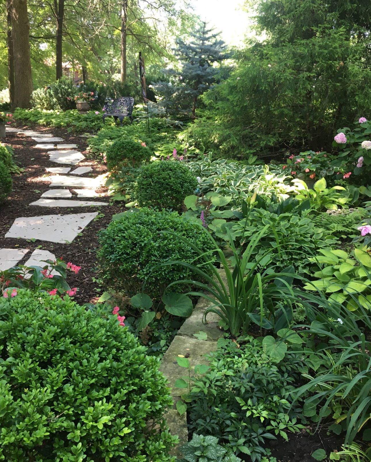 Down the garden path